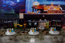 Festa Harry Potter 66 Festa Harry Potter Slytherin