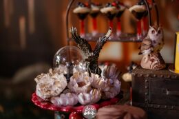 Festa Harry Potter 24 Festa Harry Potter Slytherin