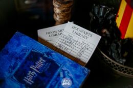 Festa Harry Potter 54 Festa Harry Potter Slytherin