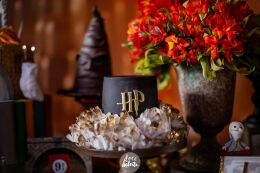 Festa Harry Potter 40 Festa Harry Potter Slytherin