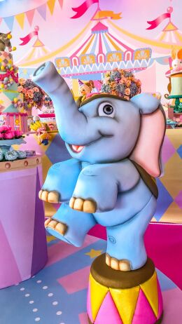 Circo Rosa - Giovanna 20 Circo da Giovanna