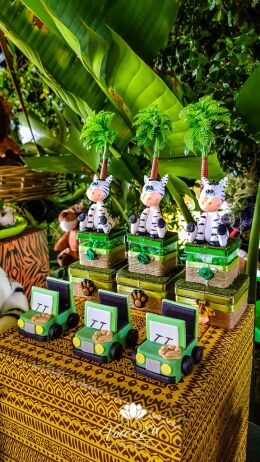 Festa Safari - Davi - 1 Ano 10 Festa Safari