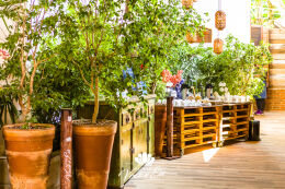 Fotos do Buffet de Churrasco 39 Buffet de Churrasco