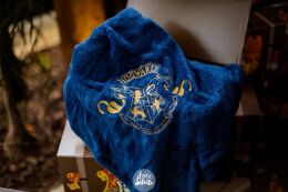 Festa Harry Potter 112 Festa Harry Potter Slytherin