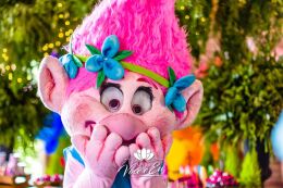 Festa Trolls - Clara - 3 Anos 95 Festa Trolls