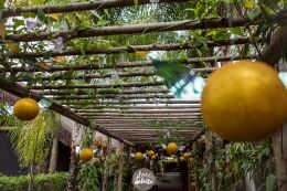 Festa Harry Potter 108 Festa Harry Potter Slytherin