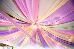 Decoração Circo Rosa - Alana 1 Ano 58 Circo Rosa