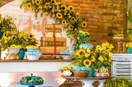 Festa de 15 Anos - Júlia 14 Festa de 15 Anos