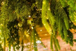 Festa Trolls - Clara - 3 Anos 27 Festa Trolls