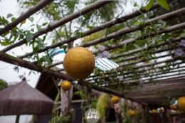 Festa Harry Potter 80 Festa Harry Potter Slytherin