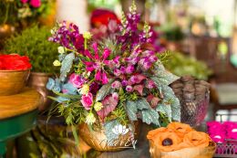 Uma Linda História de Amor 18 Casamento ao Ar Livre