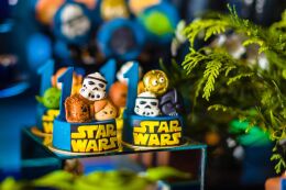 Festa Star Wars Baby - Fábio - 1 Ano 44 Festa Star Wars