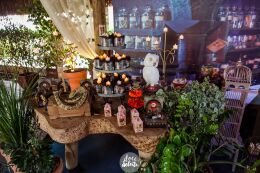 Festa Harry Potter 30 Festa Harry Potter Slytherin