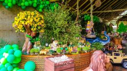 Festa Safari - Davi - 1 Ano 38 Festa Safari