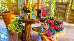 Festa de 15 Anos - Letícia 68 Festa de 15 Anos