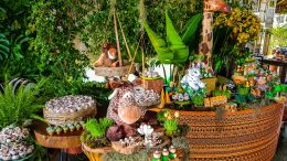 Festa Safari - Davi - 1 Ano 72 Festa Safari