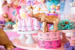 Decoração Circo Rosa - Alana 1 Ano 48 Circo Rosa