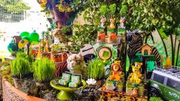 Festa Safari - Davi - 1 Ano 120 Festa Safari