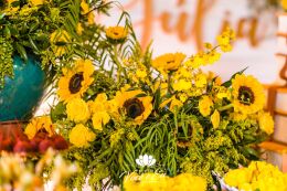 Festa de 15 Anos - Júlia 46 Festa de 15 Anos