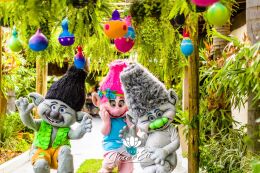 Festa Trolls - Clara - 3 Anos 45 Festa Trolls