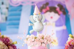 Decoração Circo Rosa - Alana 1 Ano 54 Circo Rosa