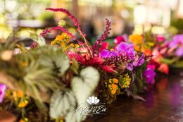 Uma Linda História de Amor 58 Casamento ao Ar Livre