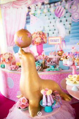 Decoração Circo Rosa - Alana 1 Ano 24 Circo Rosa