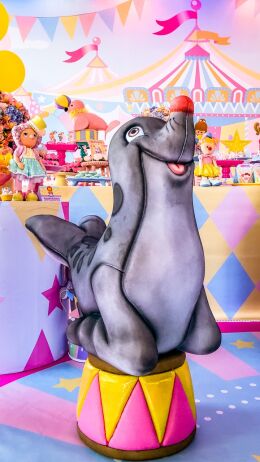 Circo Rosa - Giovanna 16 Circo da Giovanna