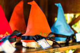 Festa Branca de Neve - Joana 30 Festa Branca de Neve