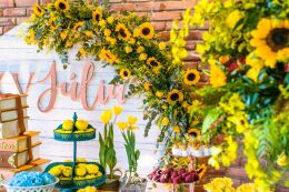 Festa de 15 Anos - Júlia 10 Festa de 15 Anos