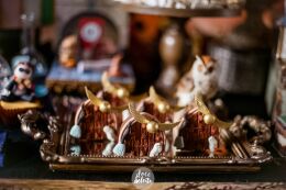 Festa Harry Potter 68 Festa Harry Potter Slytherin