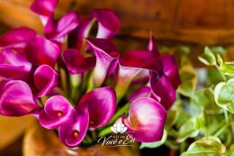 Uma Linda História de Amor 50 Casamento ao Ar Livre