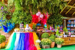 Festa Trolls - Clara - 3 Anos 5 Festa Trolls