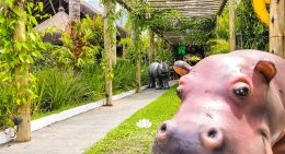 Festa Safari - Davi - 1 Ano 98 Festa Safari