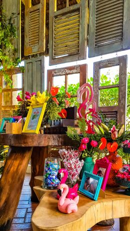 Festa de 15 Anos - Letícia 64 Festa de 15 Anos