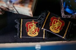 Festa Harry Potter 28 Festa Harry Potter Slytherin