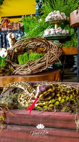 Festa Safari - Davi - 1 Ano 16 Festa Safari