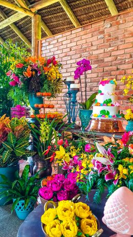 Festa de 15 Anos - Letícia 58 Festa de 15 Anos