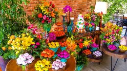 Festa de 15 Anos - Letícia 16 Festa de 15 Anos