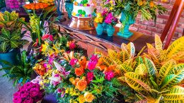 Festa de 15 Anos - Letícia 54 Festa de 15 Anos