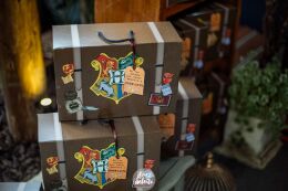 Festa Harry Potter 22 Festa Harry Potter Slytherin