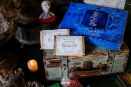 Festa Harry Potter 4 Festa Harry Potter Slytherin