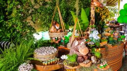 Festa Safari - Davi - 1 Ano 68 Festa Safari