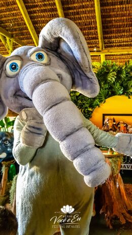 Festa Safari - Davi - 1 Ano 94 Festa Safari