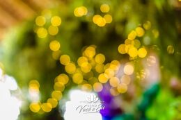 Festa Trolls - Clara - 3 Anos 39 Festa Trolls