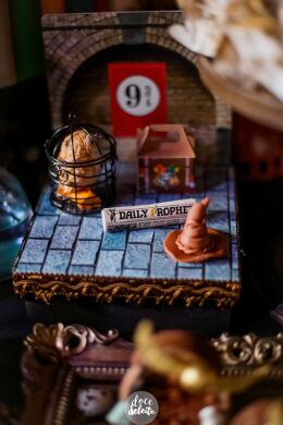 Festa Harry Potter 42 Festa Harry Potter Slytherin
