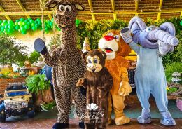 Festa Safari - Davi - 1 Ano 90 Festa Safari