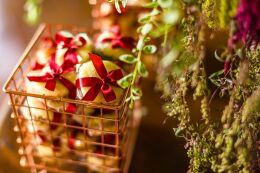 Casamento de Dia ♡ Patrícia + Kauê ♡ 30 Casamento de Dia