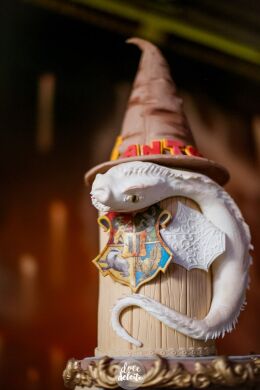 Festa Harry Potter 74 Festa Harry Potter Slytherin