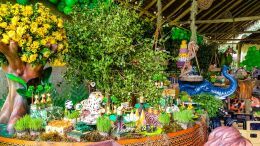 Festa Safari - Davi - 1 Ano 40 Festa Safari